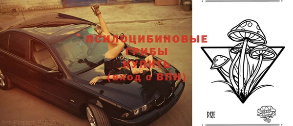 гашиш Арсеньев