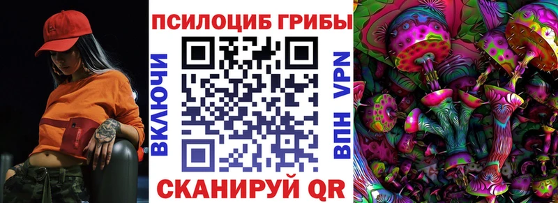 hydra маркетплейс  Циолковский  Галлюциногенные грибы мицелий  закладка 